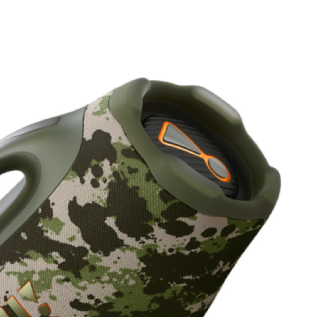 Speaker BB 4 Wi-Fi